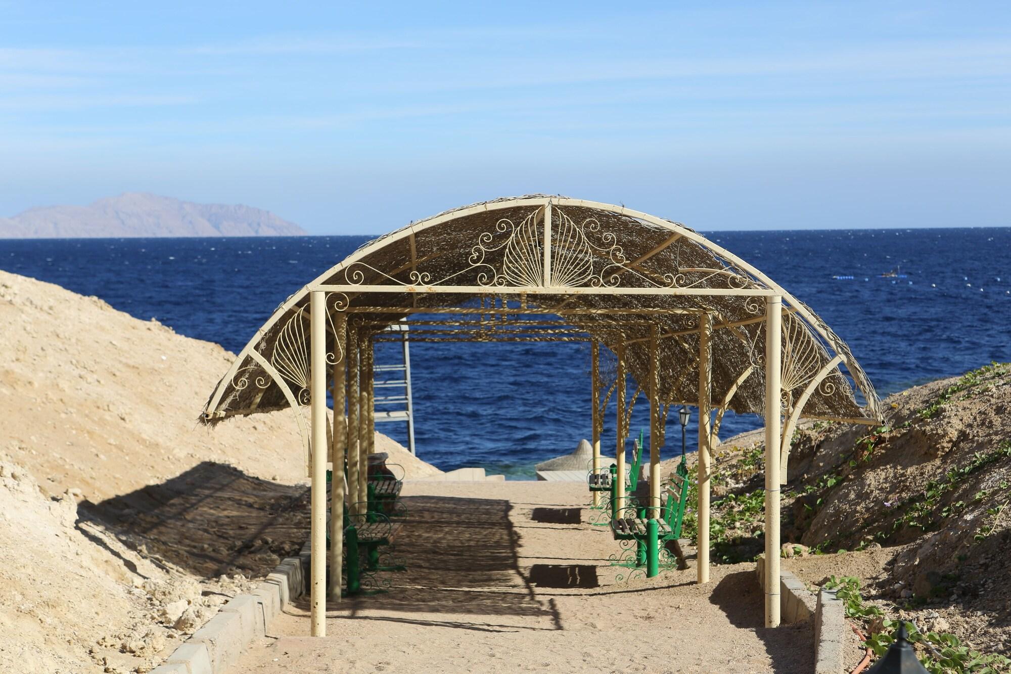 Фото Club Reef Resort