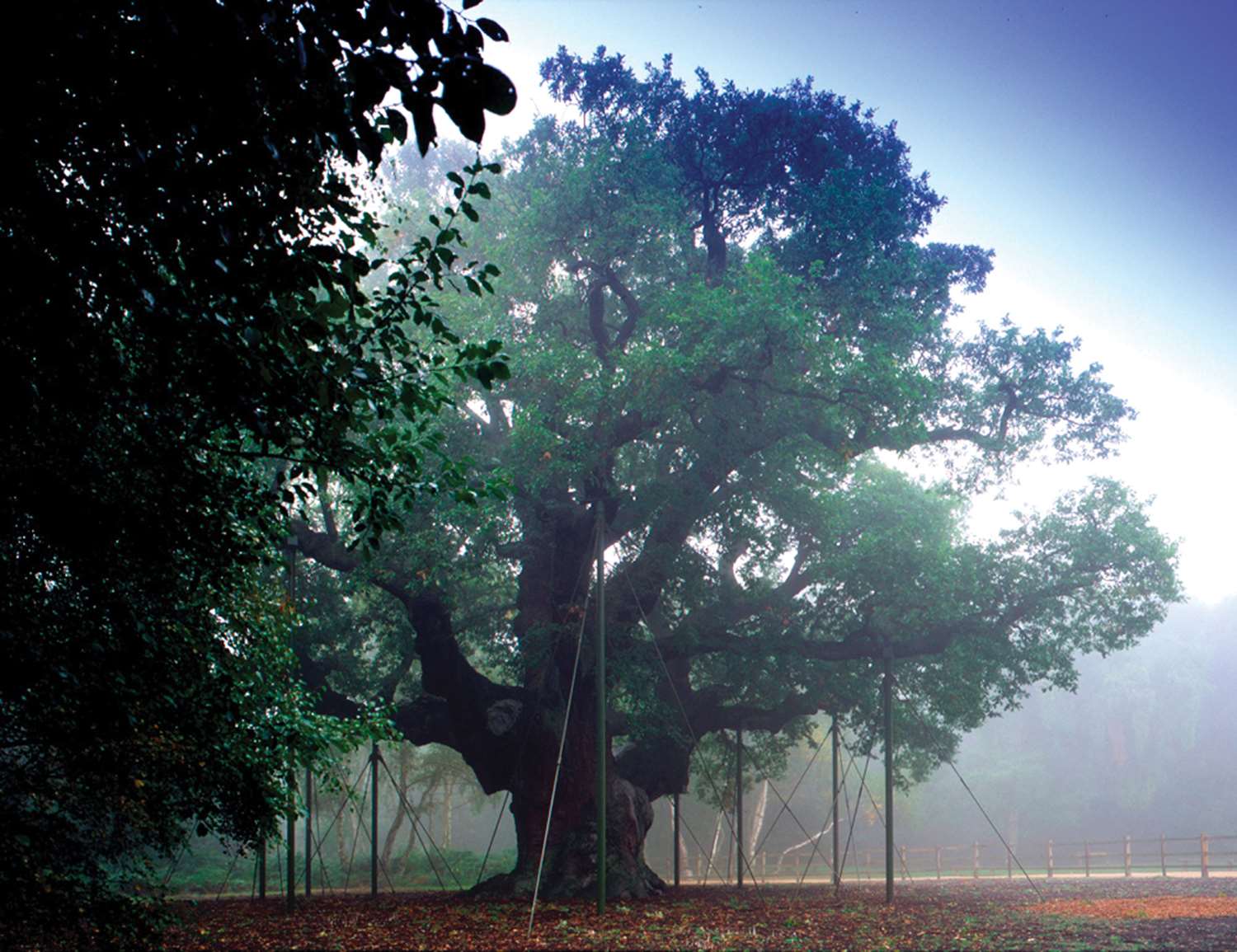 Фото Best Western Plus Nottingham Westminster Hotel