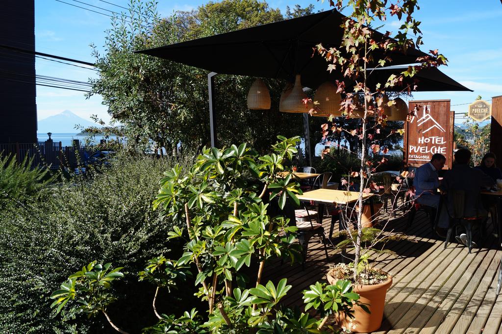 Фото Hotel Puelche