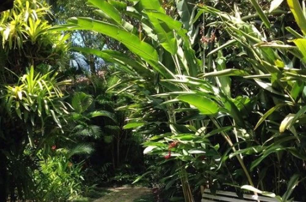 Фото Pousada do Ouro