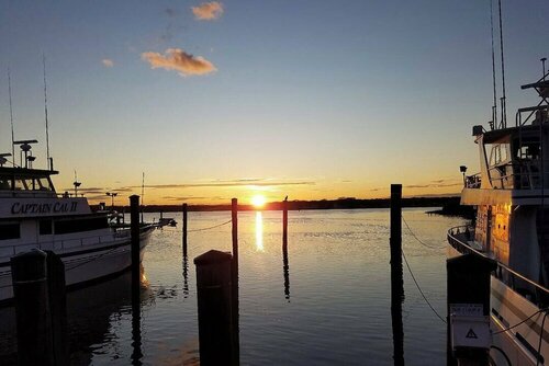 Внешний вид отеля Tandem Bike Inn в Белмаре, фото 5