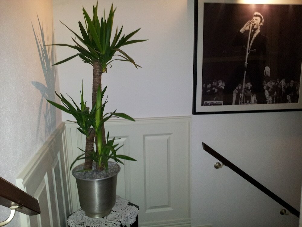 Фото The Concert Hotel