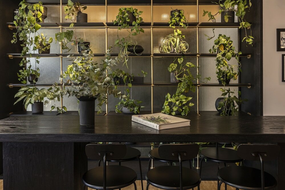 Фото The Modernist Athens