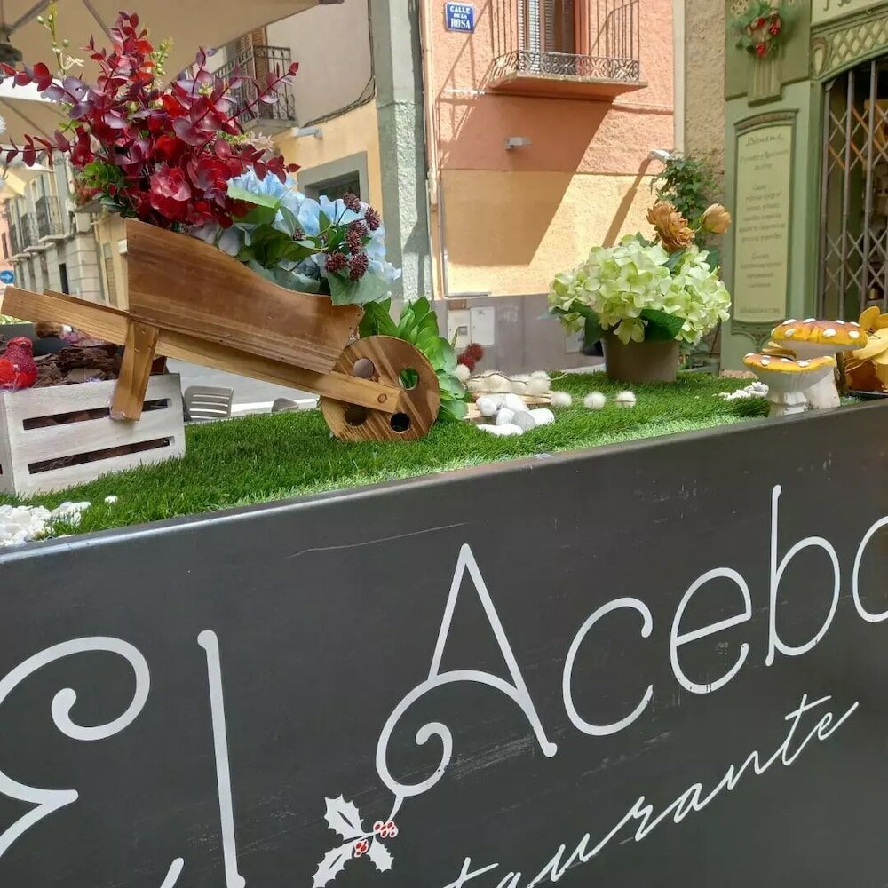 Фото Hotel El Acebo