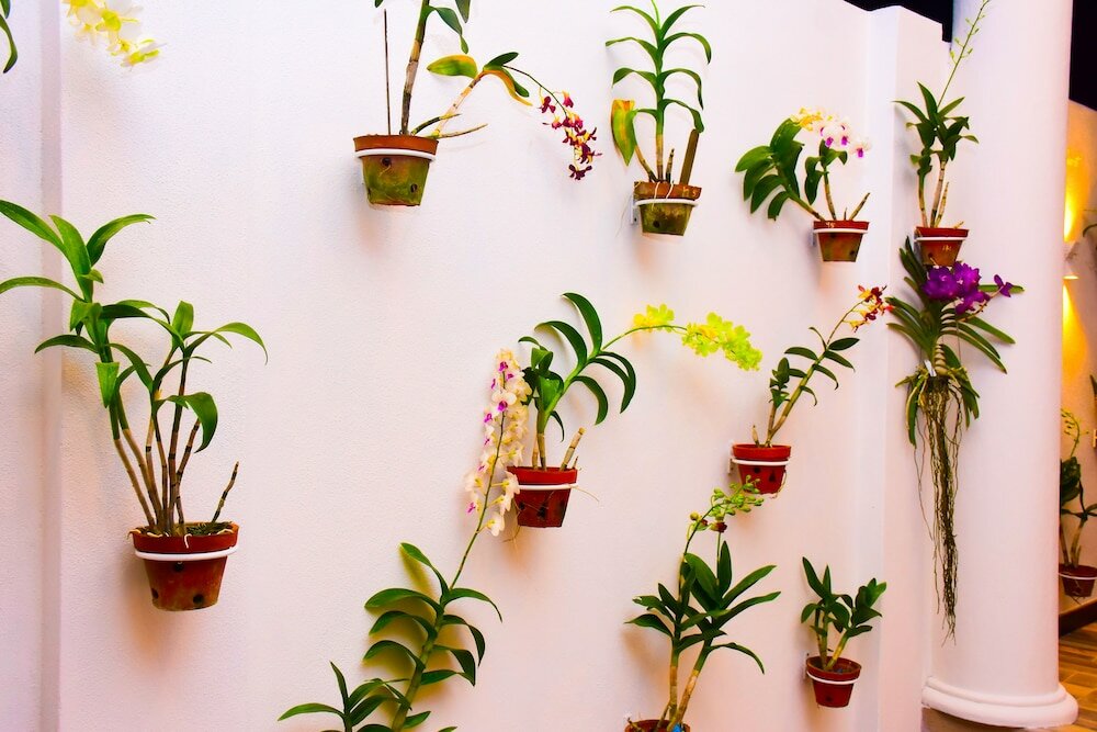 Фото Negombo New Queen's Palace