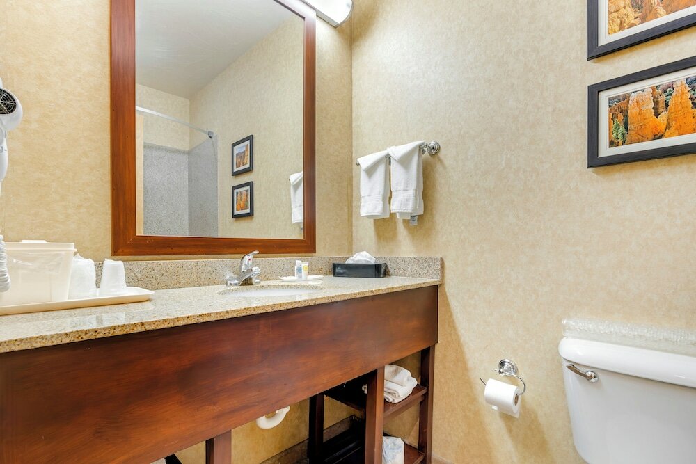 Фото Comfort Inn at Convention Center