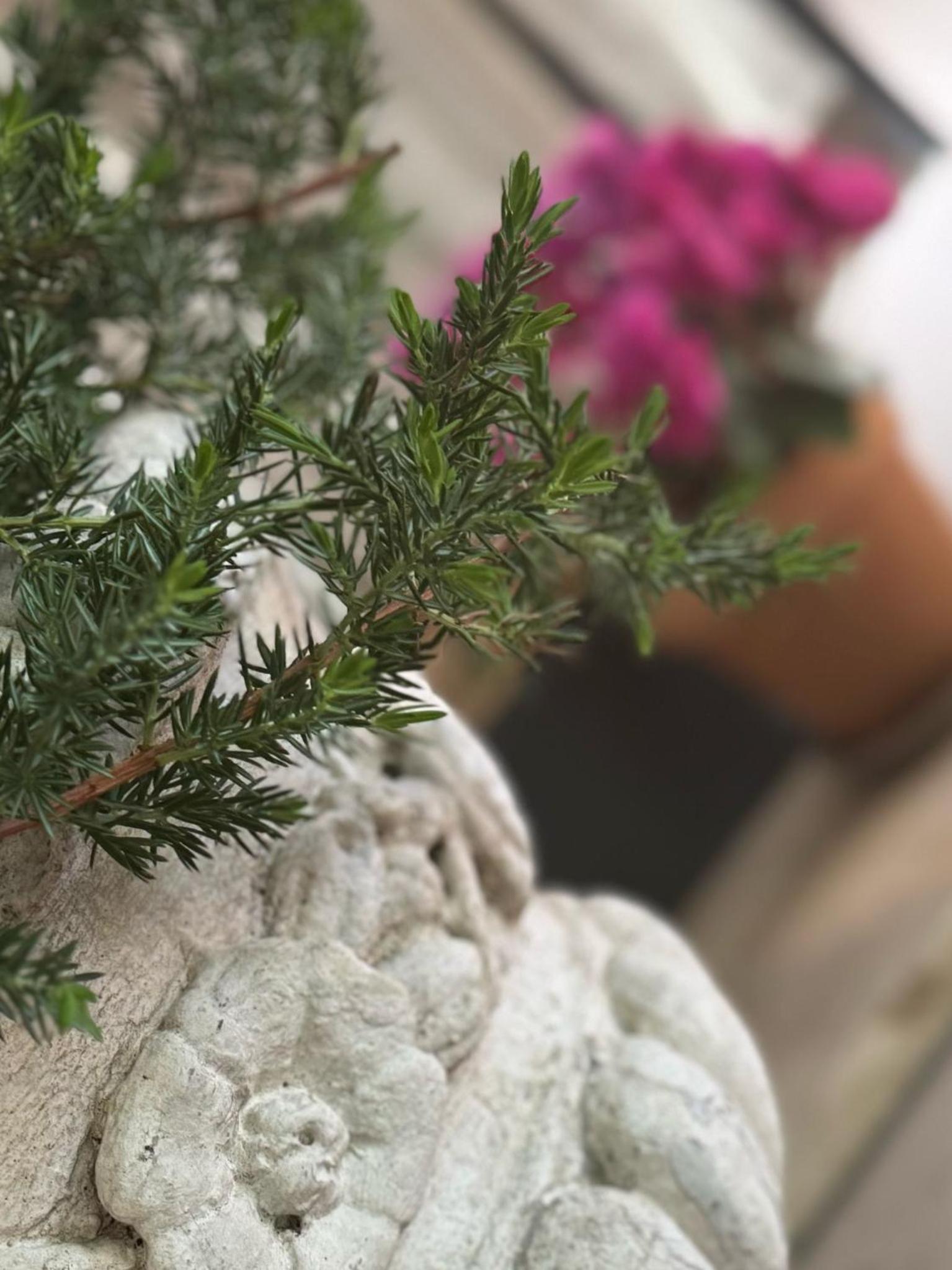 Фото Hotel Eureka