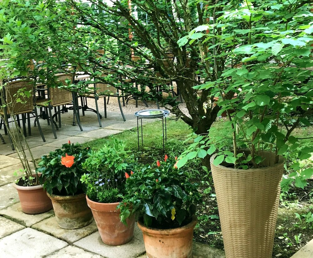 Фото Hotel Restaurant Bruchwiese