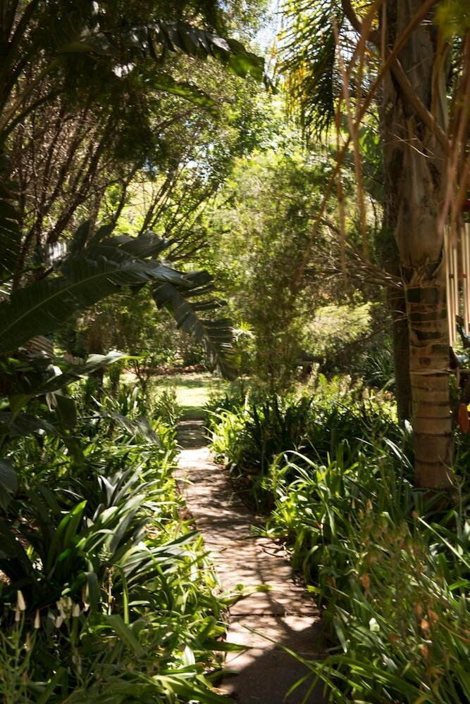 Фото Tuareg Guest House