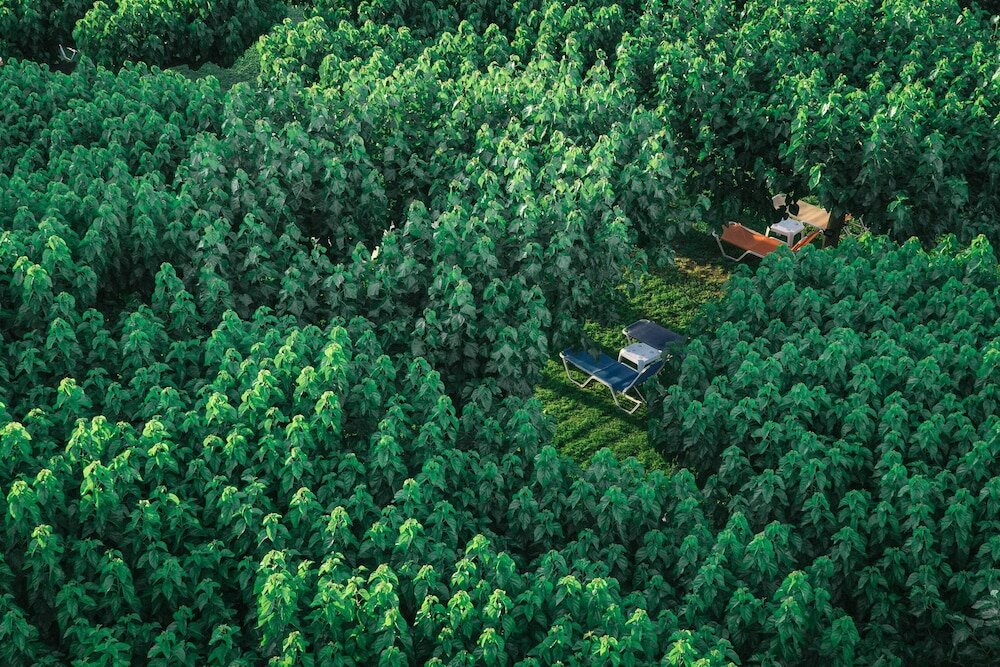 Фото Hotel Tzaki