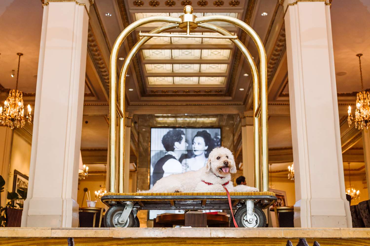 Фото Hotel deLuxe