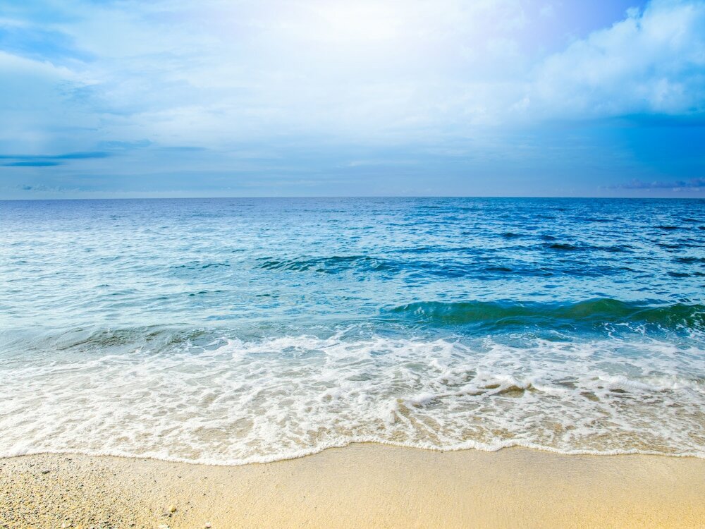 Фото Paraiso Rainforest and Beach Hotel