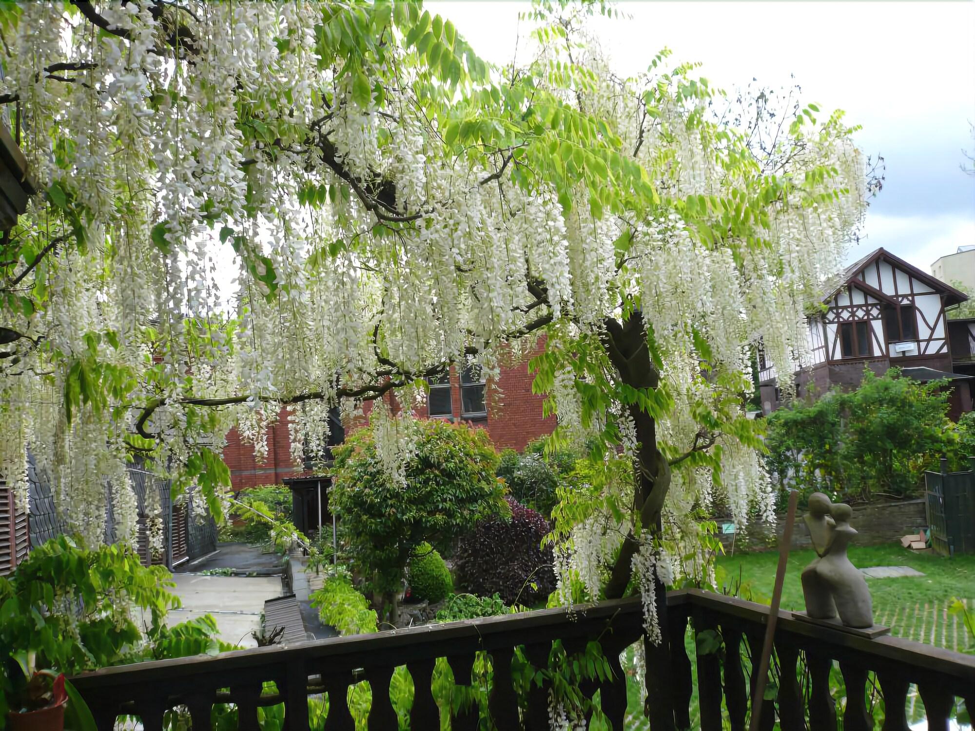 Фото Hotel Rosenhaus Garni