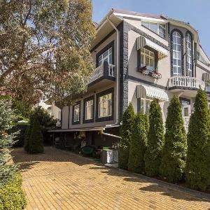 Фото Серый гусь