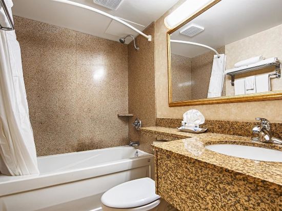 Фото Best Western Plus Ottawa/Kanata Hotel & Conference Centre