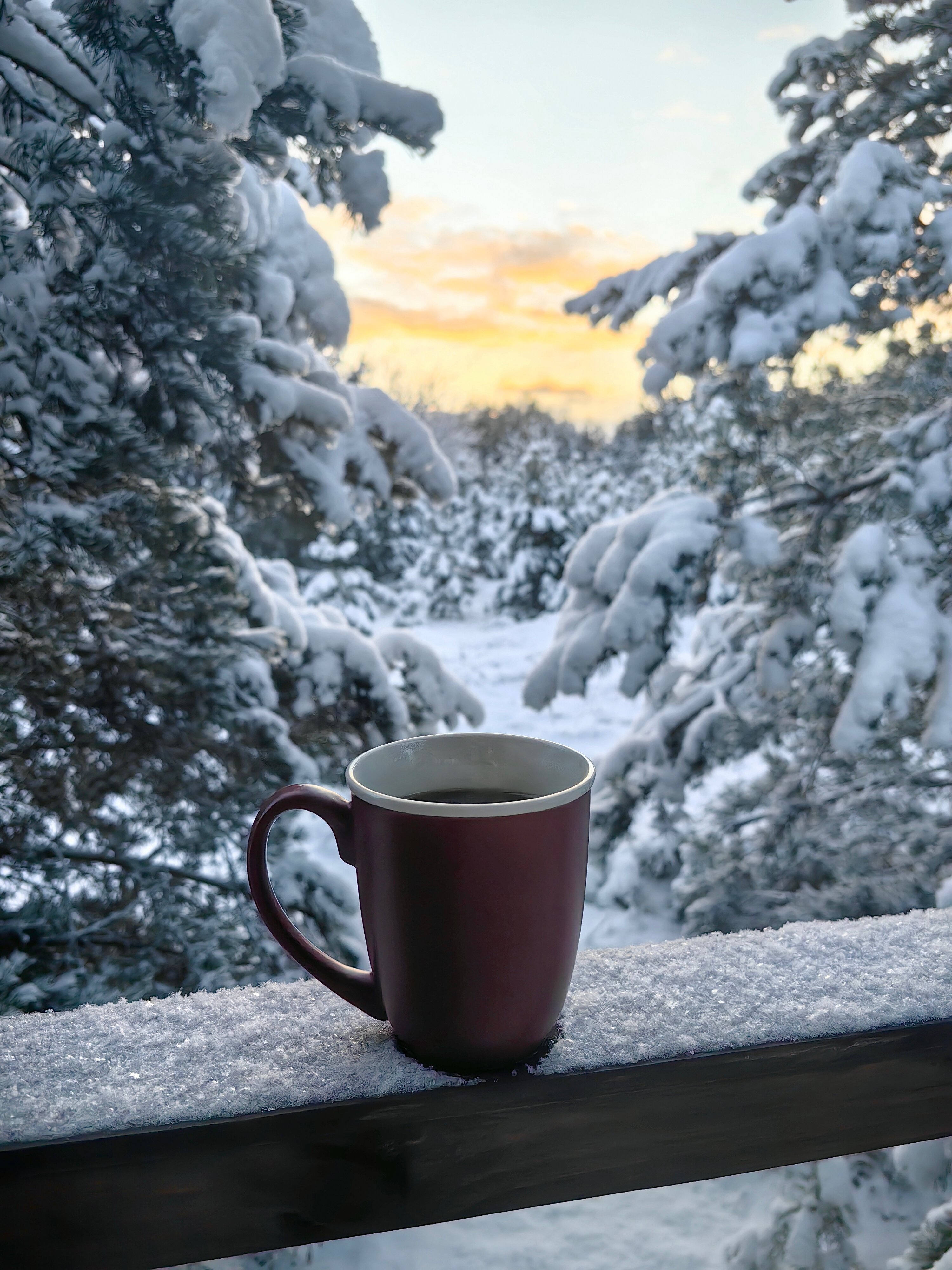 Фото Эко-Парк Шмели