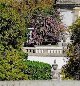 Фото Templo Hotel & SPA