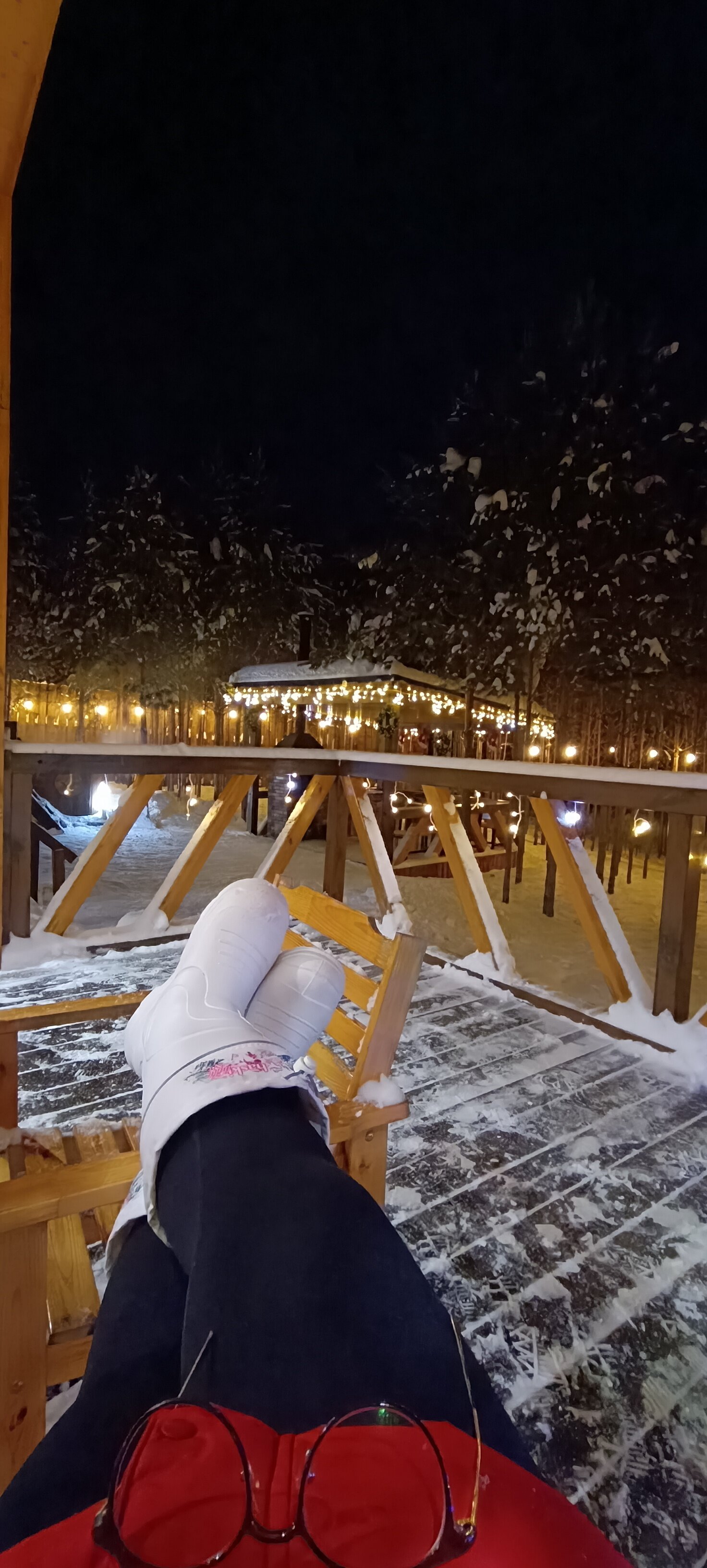 Фото Два Лося