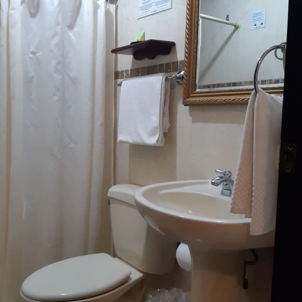 Фото Hotel Villa Florencia Zona Rosa