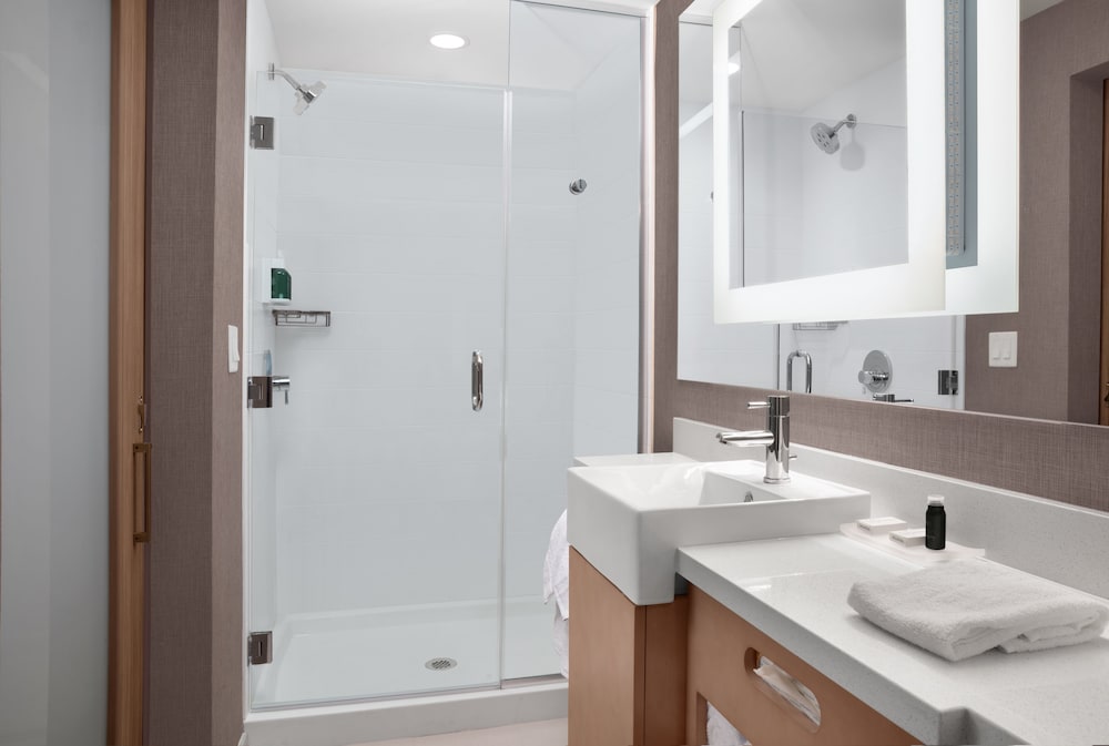 Фото Springhill Suites by Marriott Orlando Theme Parks/Lake Buena Vista