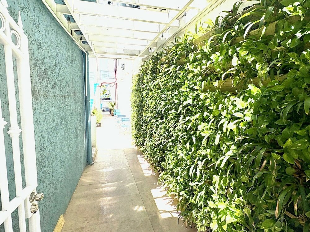 Фото Seaview Beach Hotel