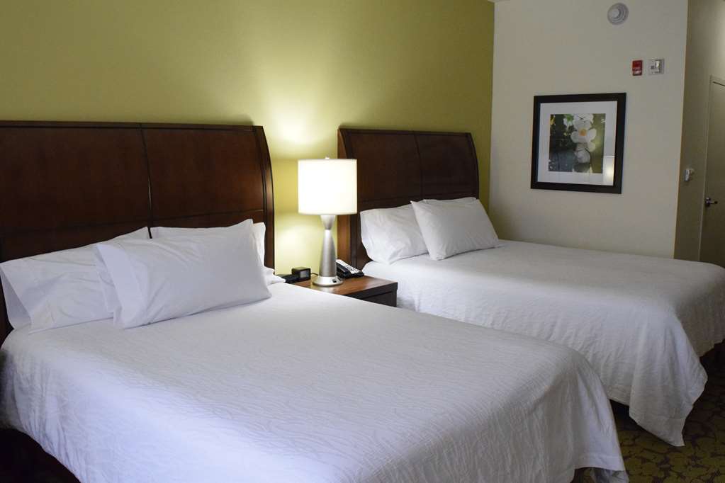 Фото Hilton Garden Inn Rochester Downtown