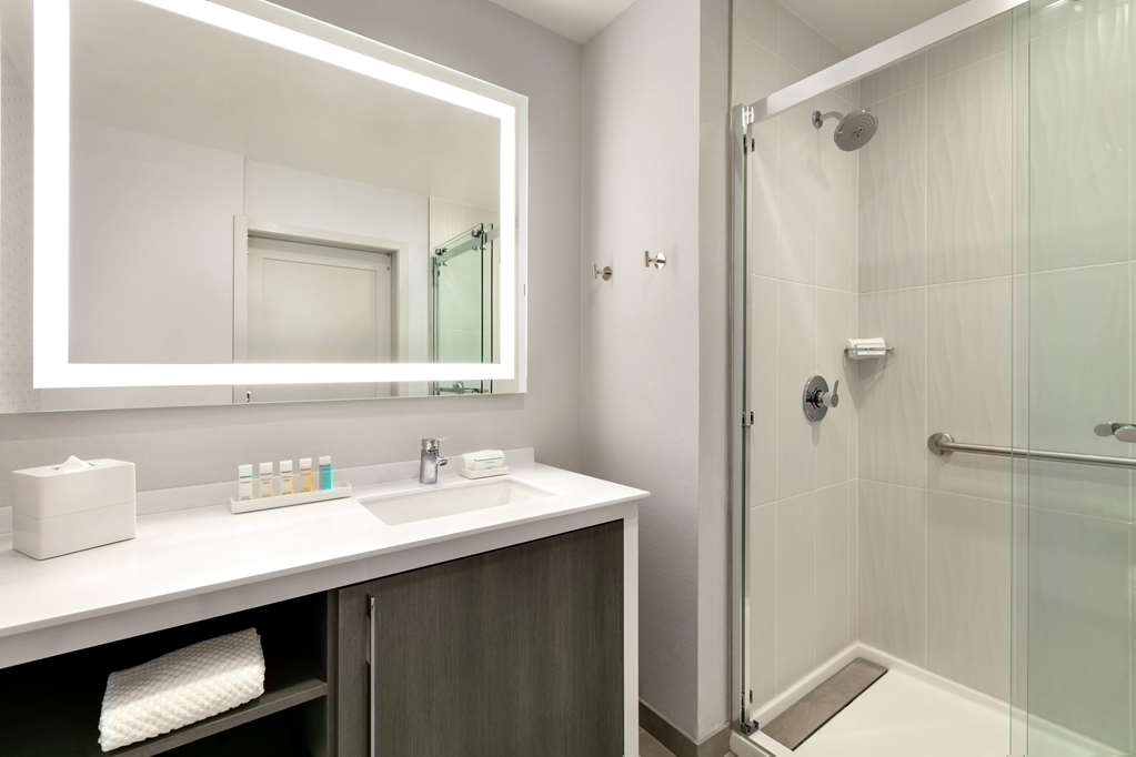 Фото Embassy Suites by Hilton Atlanta Midtown