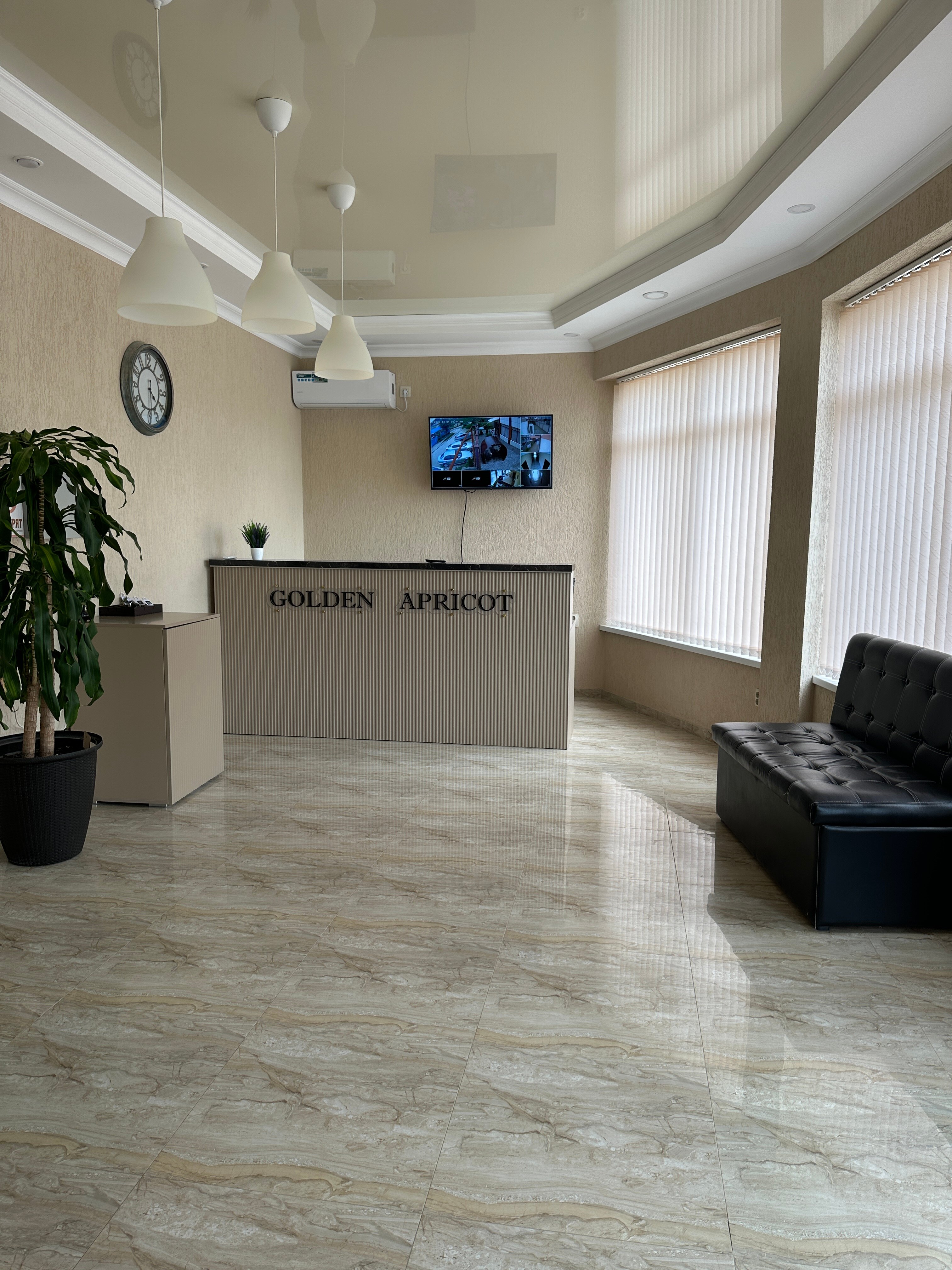 Фото Золотой абрикос