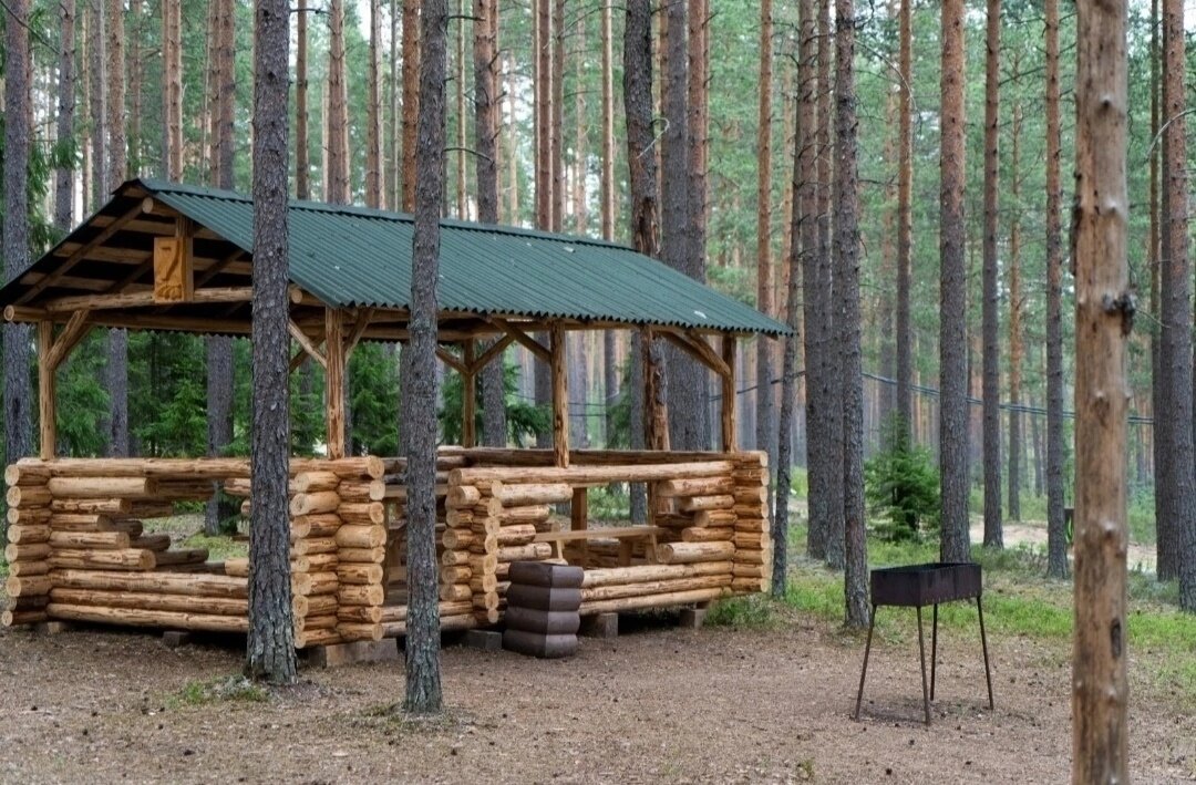 Фото Шишки на Лампушке