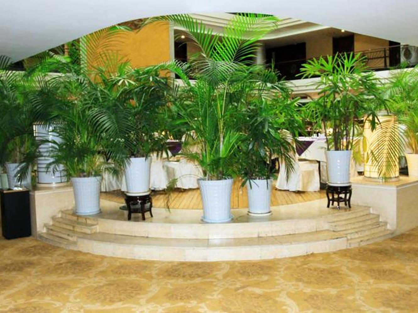 Фото Xian Union Alliance Atravis Executive Hotel