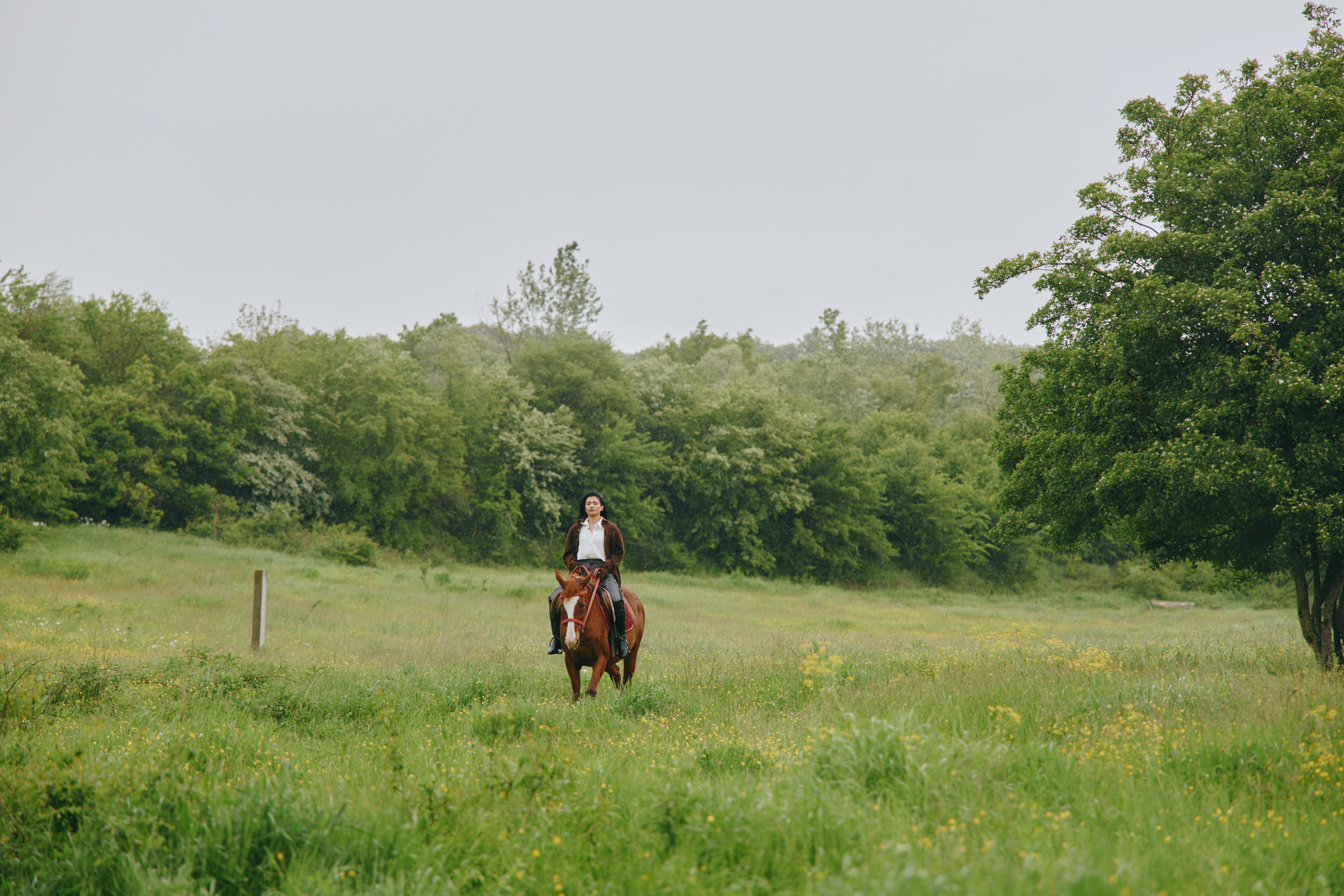 Фото Тихий Лес