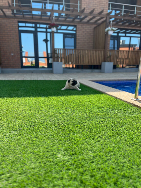 Фото Золотая Гавань