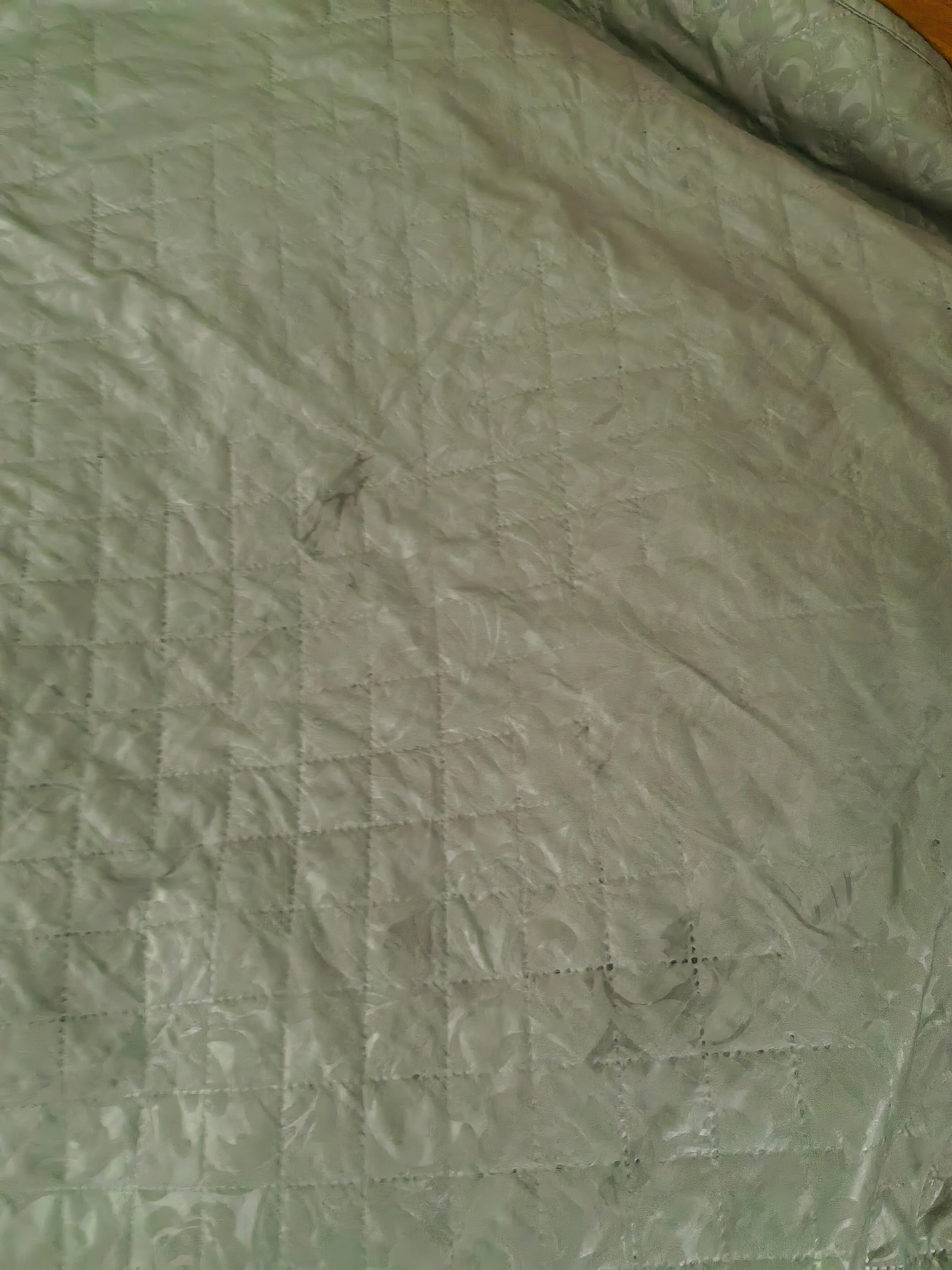 Фото Славянка