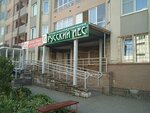 Russky les (Rodionova Street, 165к12) ، هياكل معدنية