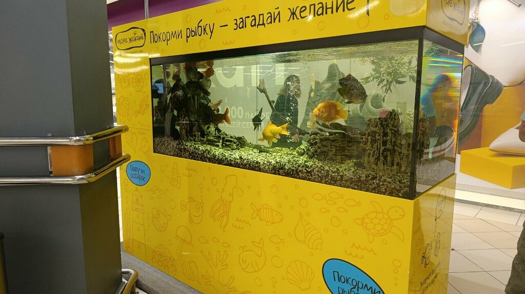 Парк аттракционов Море желаний, Тольятти, фото