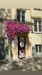 Berry Bouquet Flowers (Aleksandra Solzhenitsyna Street, 22/2), floristeria