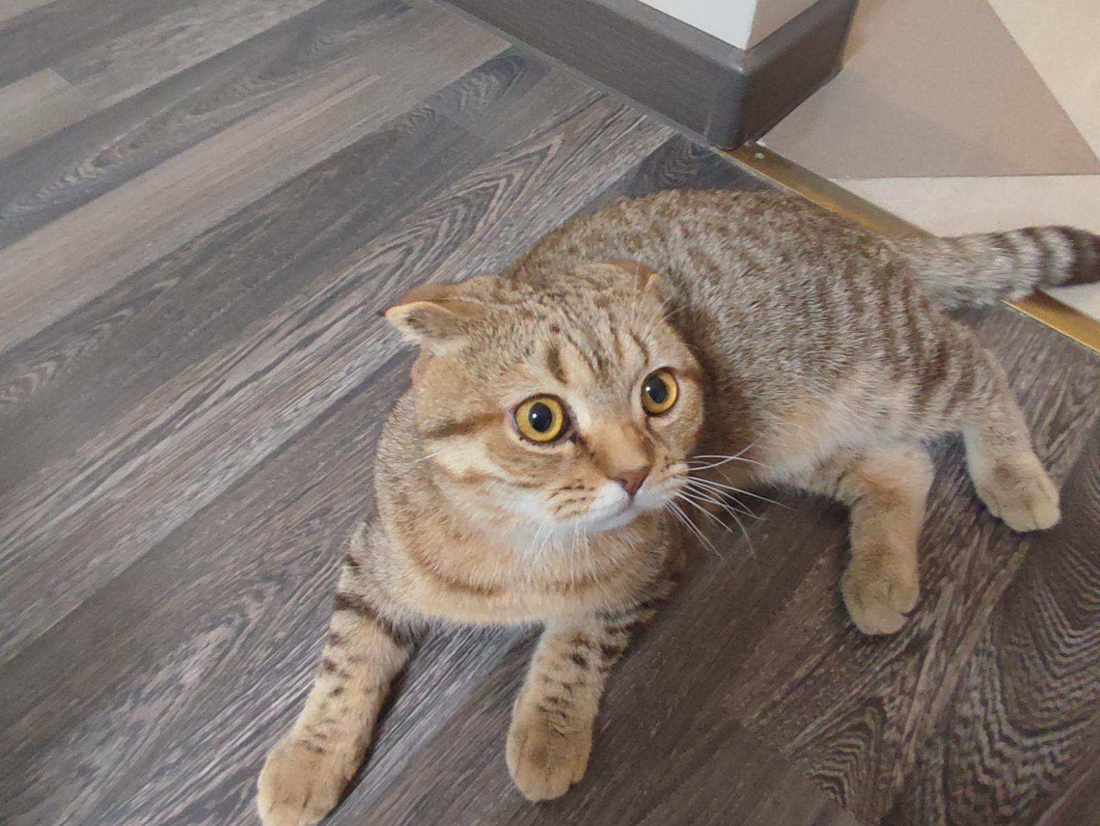 Фото Клубная