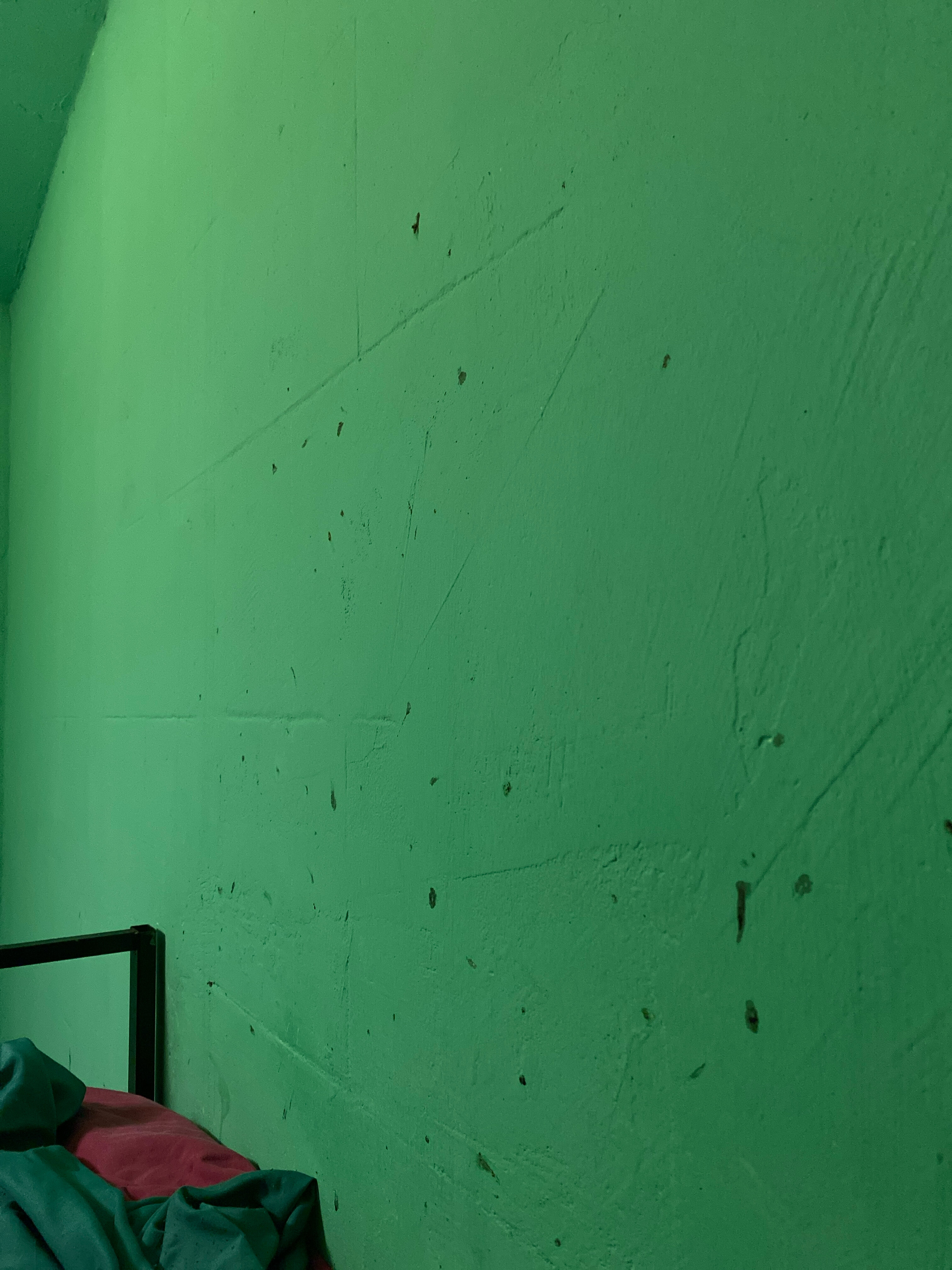 Фото Вежливый Лось