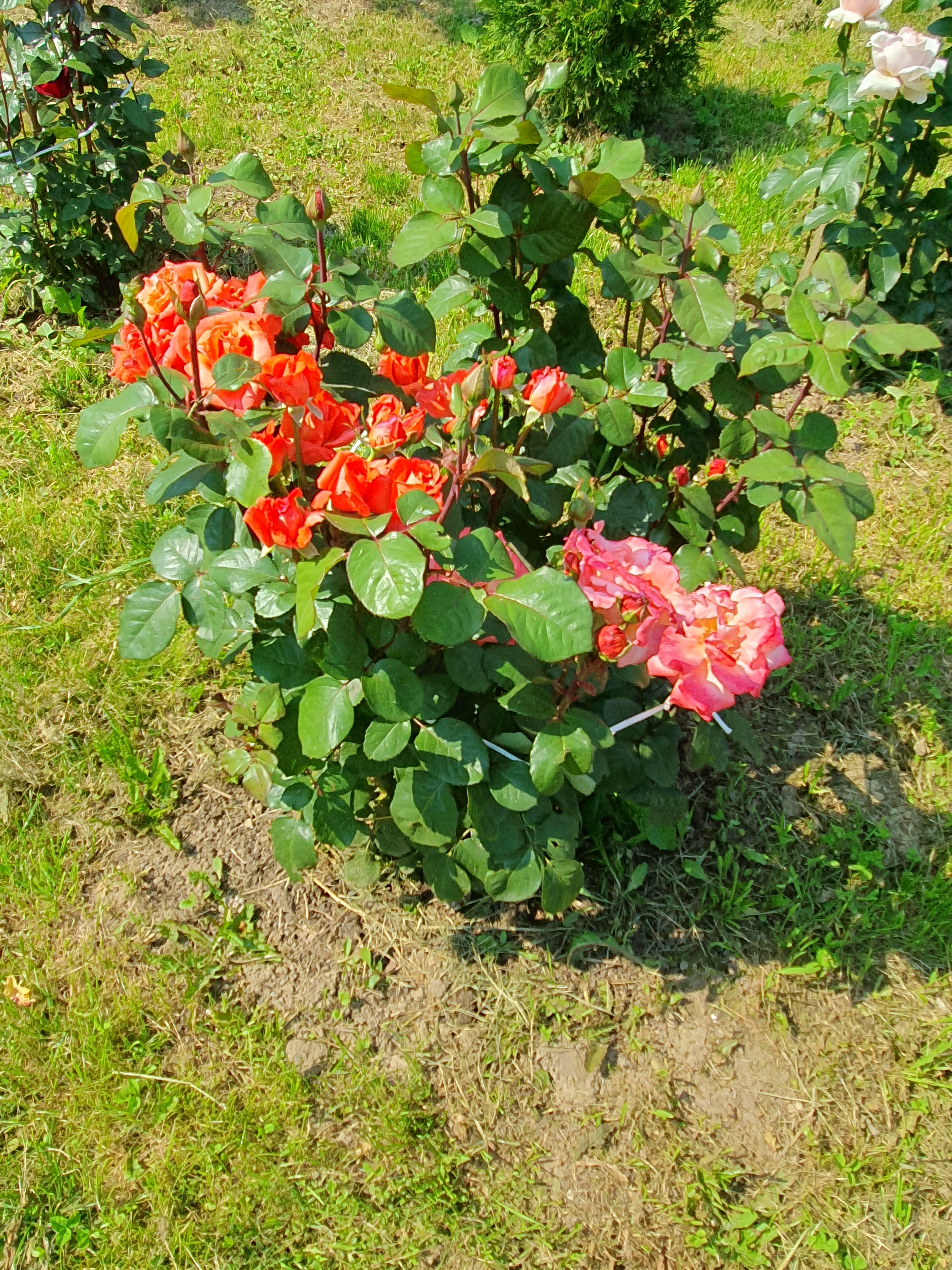 Фото Усадьба