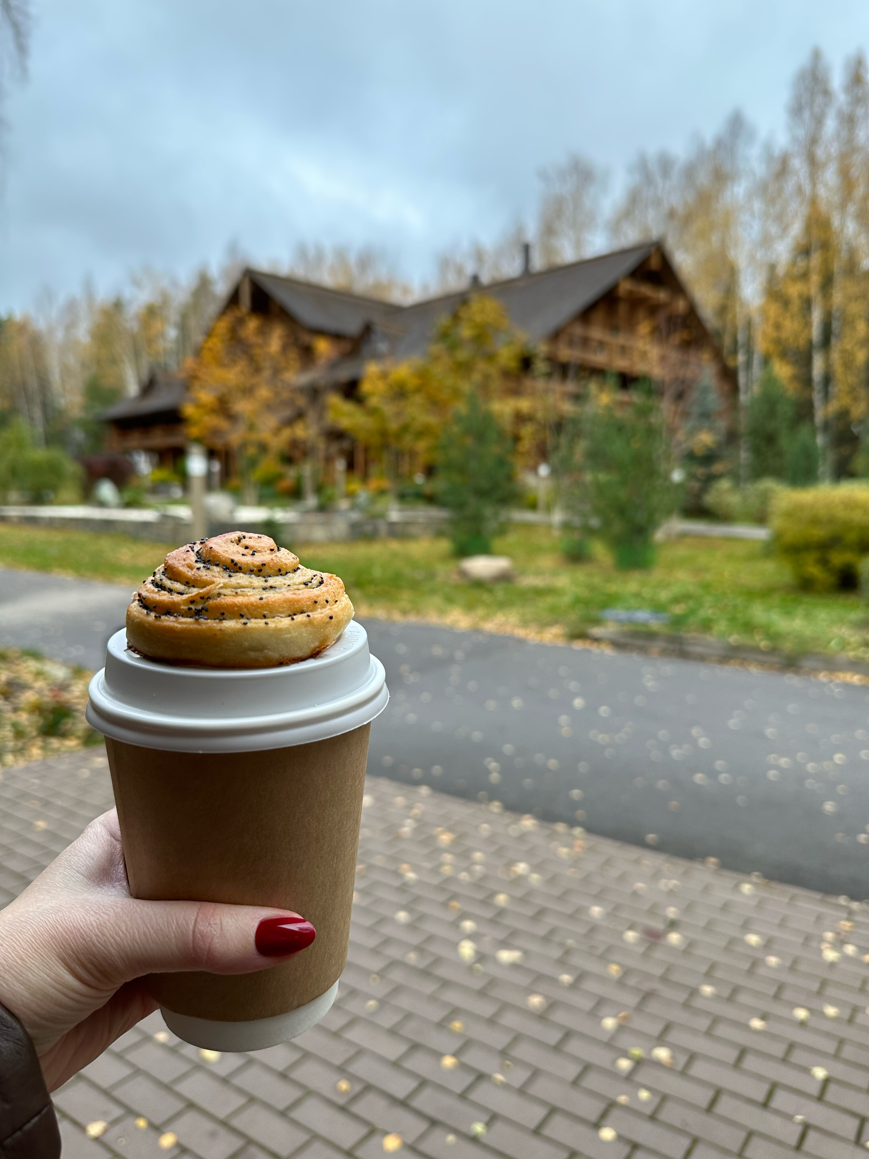 Фото Романов лес