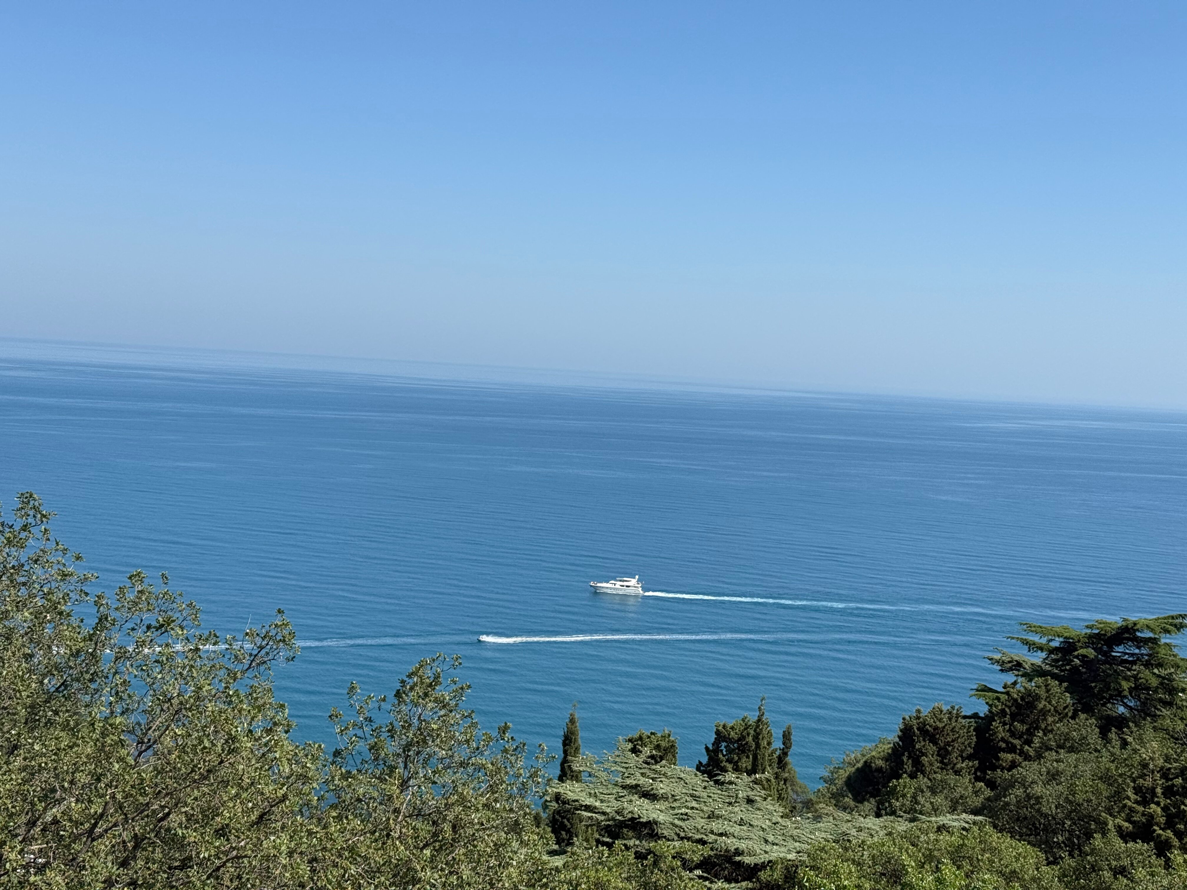 Фото Форест