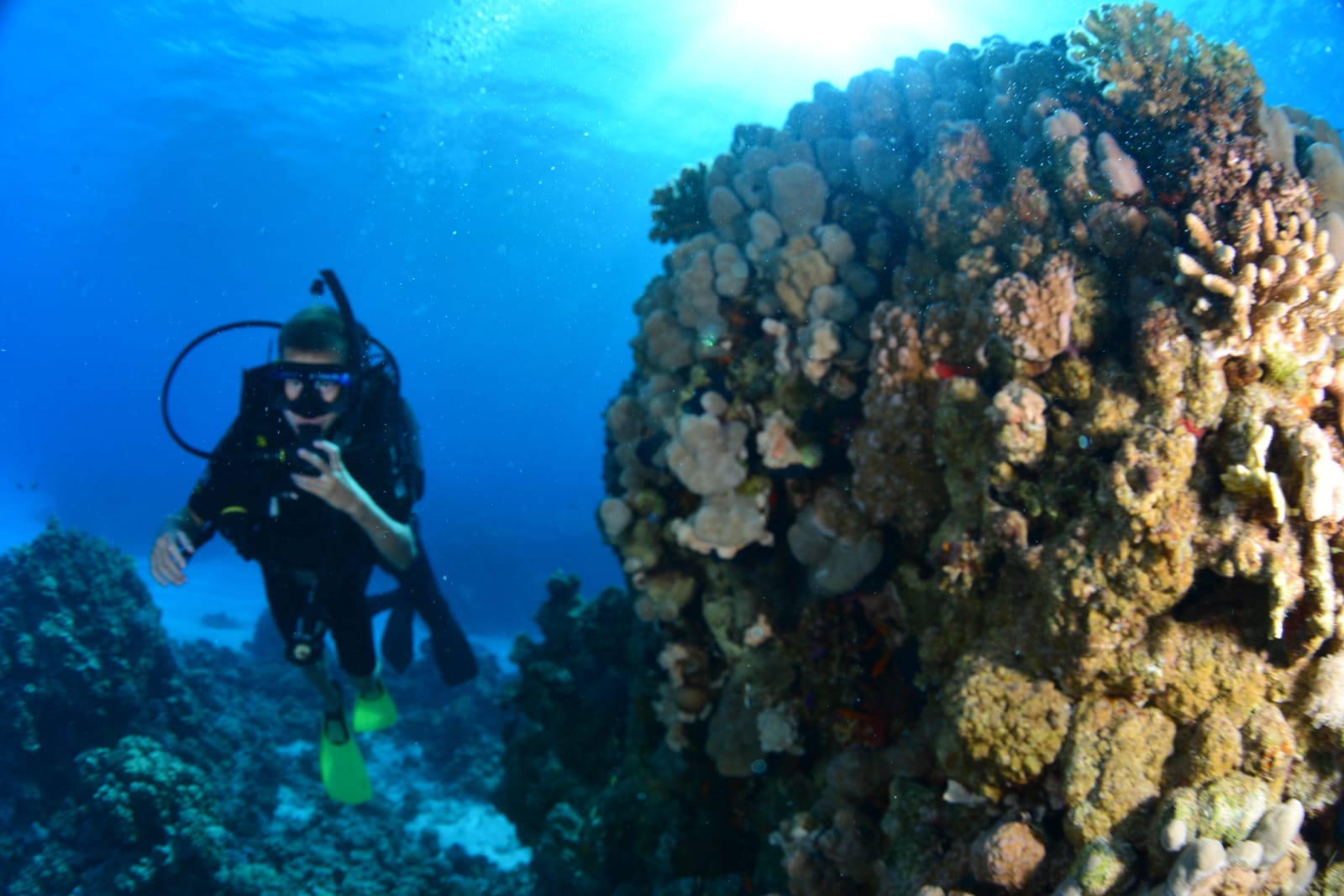 Фото Reef Oasis Beach