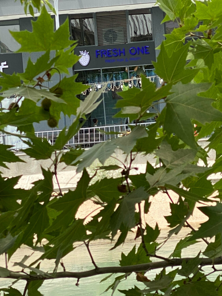 Restaurant Fresh One, Tashkent, photo