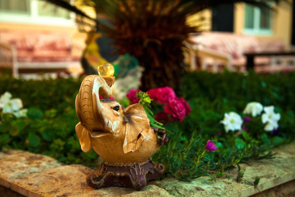 Фото Эдем Олимп