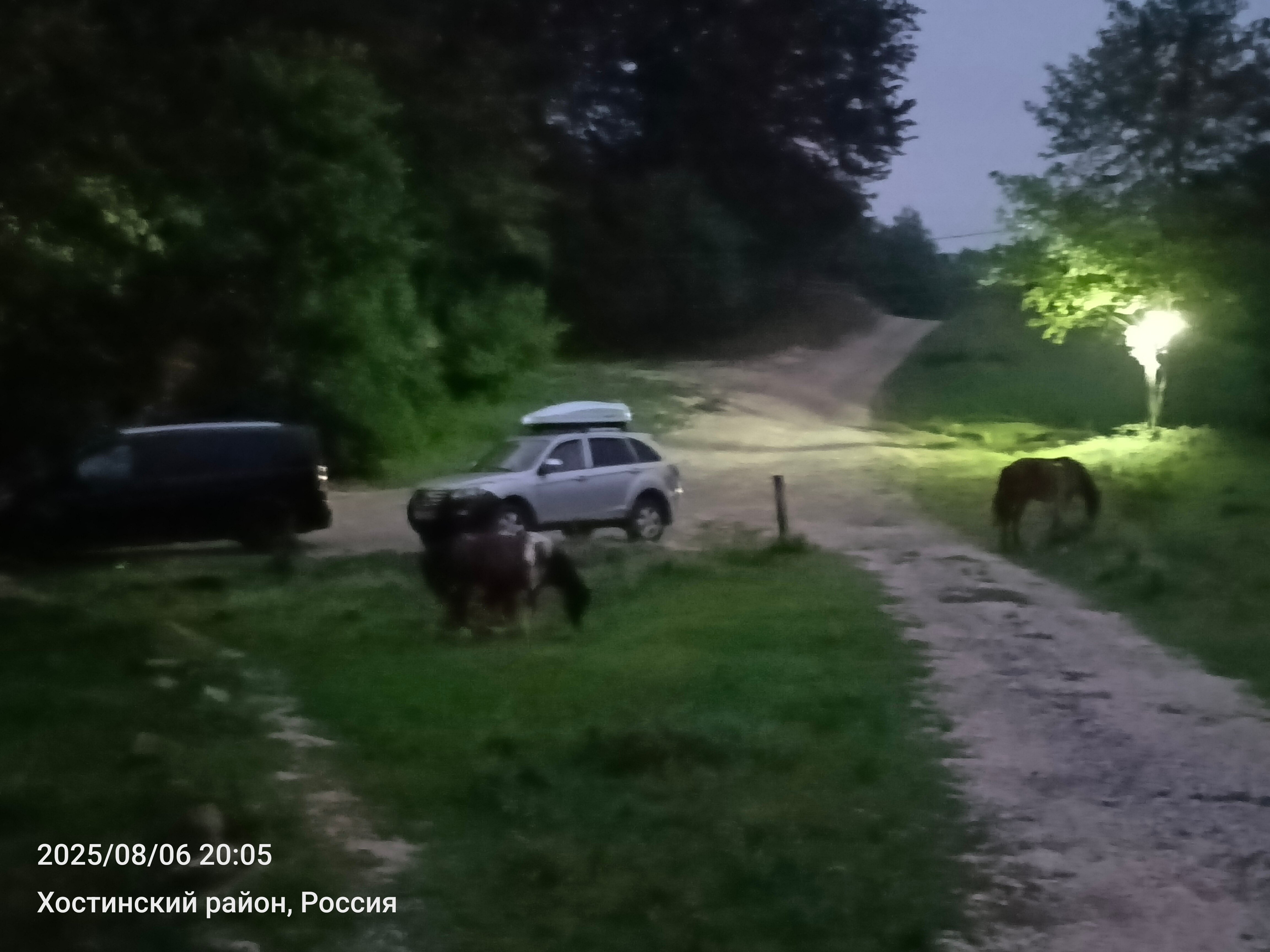 Фото Озеро Ольховое