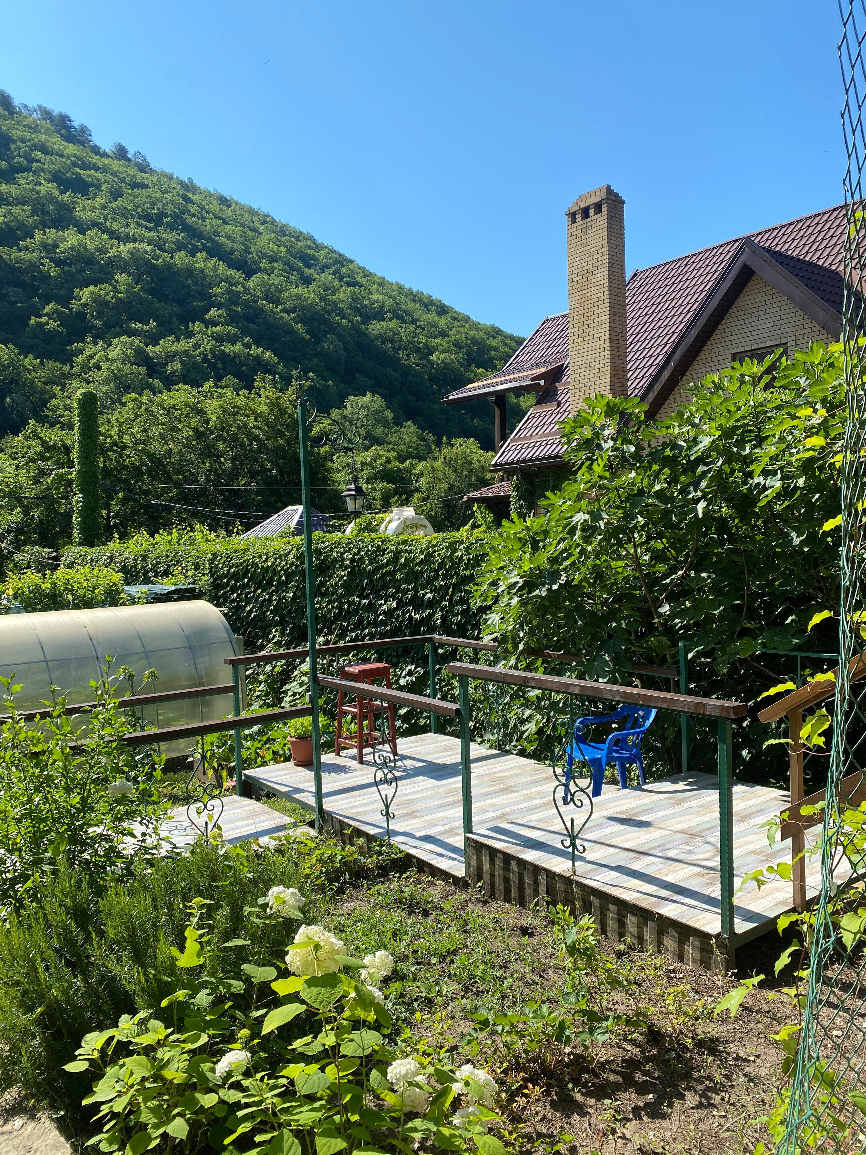 Фото Лесной домик Ель