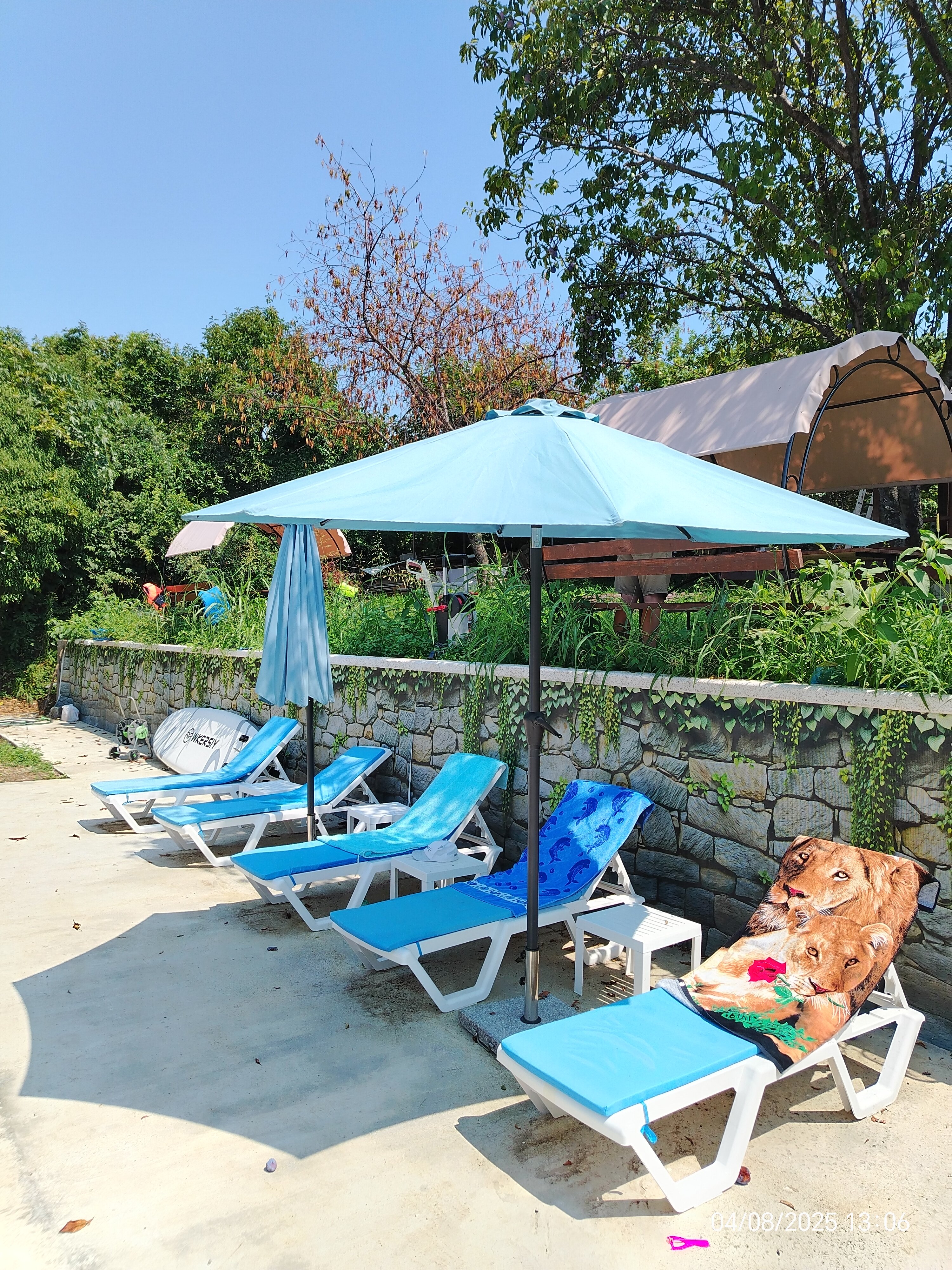 Фото Ланселот