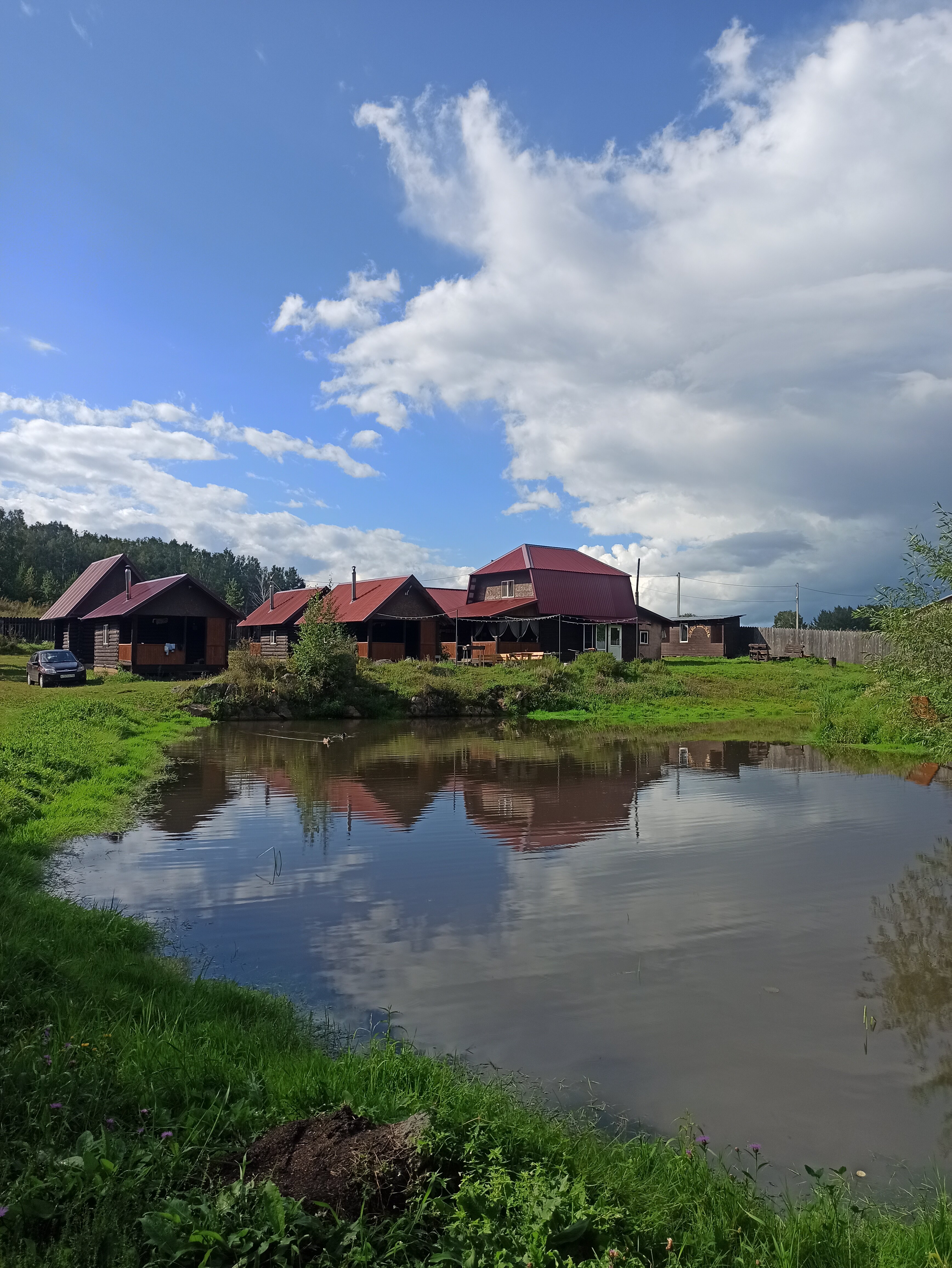 Фото Медная Сова