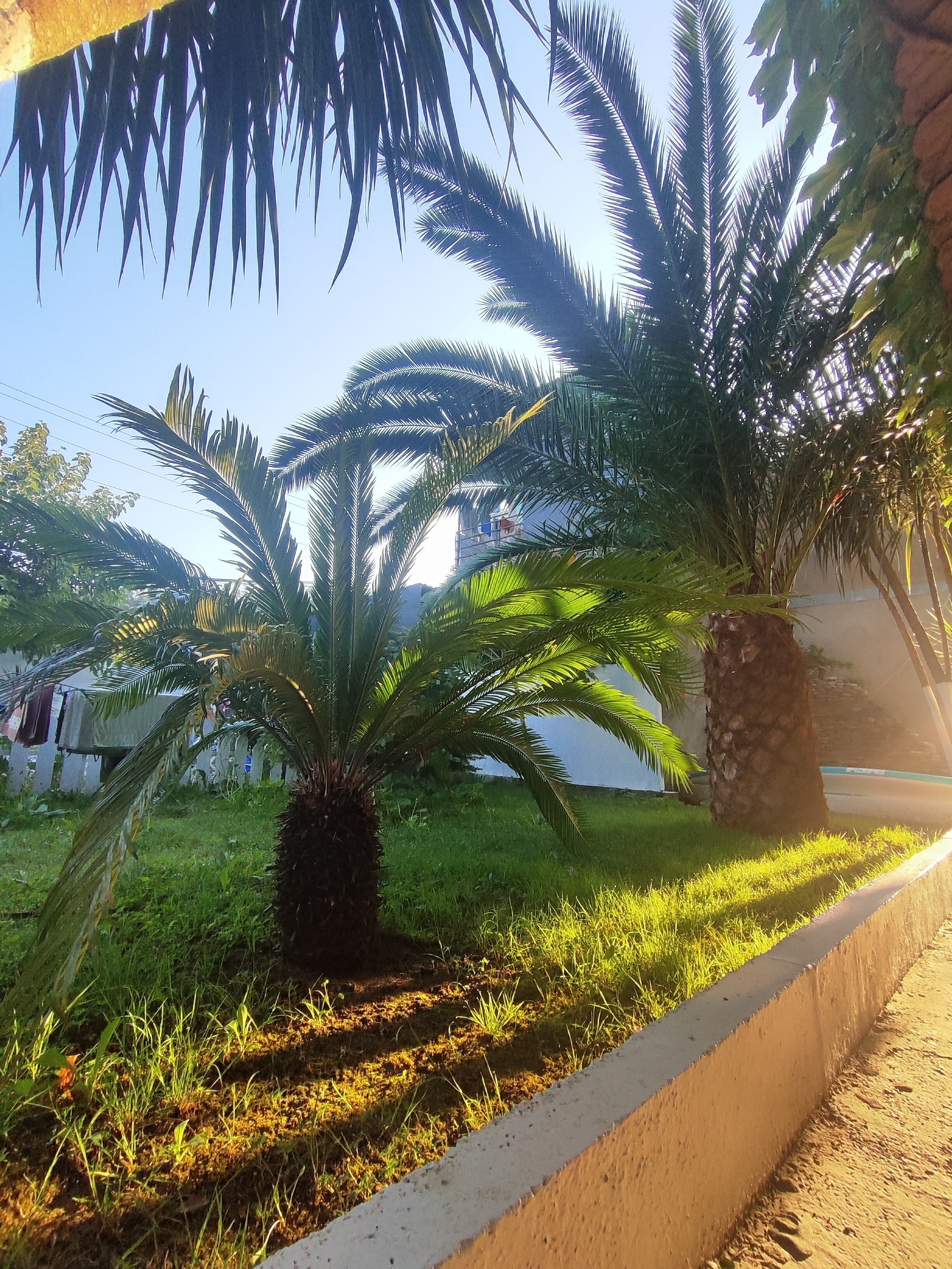 Фото Бунгало Чайка