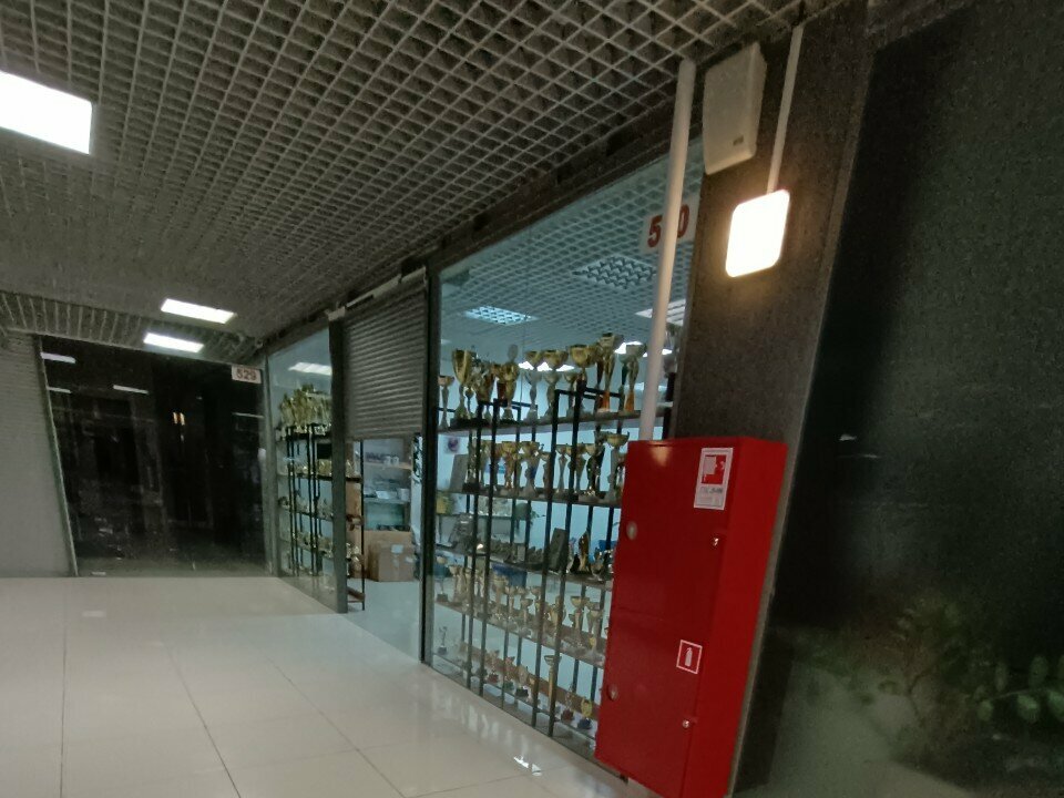 Gift and souvenir shop Mir prizov, Voronezh, photo